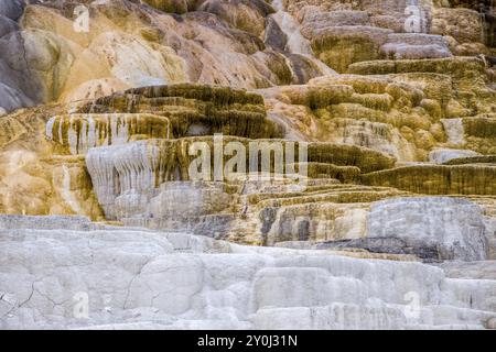 Image abstraite des gisements de calcium et de minéraux des foyers Mammoth dans le parc national de Yellowstone Banque D'Images