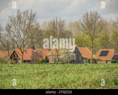 Maisons en briques rouges et arbres avec un champ vert au premier plan sous un ciel nuageux, Eibergen, Gueldre, pays-Bas Banque D'Images