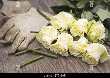 Une photo de roses fraîchement coupées sur un dessus de table en bois à côté de gants et de tiges coupées Banque D'Images