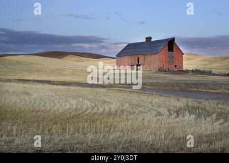 Une grange rouge se dresse dans le champ de blé récolté dans la région de Palouse, dans l'est de l'État de Washington Banque D'Images