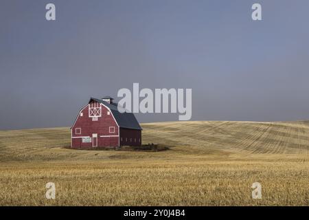 Une grange rouge se dresse dans un champ récolté avec le brouillard levant dans l'est de Washington Banque D'Images