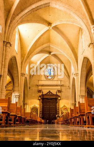 Cathédrale de Valence (Basilique de l'Assomption de notre-Dame), Plaza de la Reina, Valence, Espagne. Banque D'Images