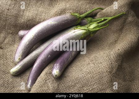 Une photo en gros plan de longues aubergines violettes disposées sur un vieux sac en toile de jute Banque D'Images