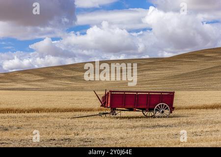 Un vieux wagon de blé assis dans le champ de blé près de Colfax, Washington Banque D'Images