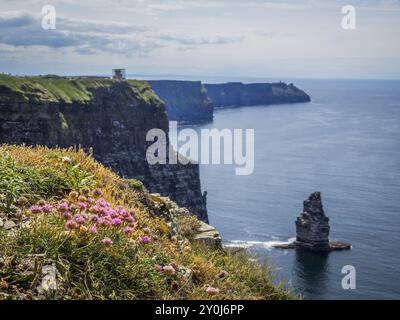 Clifs de Moher en Irlande Banque D'Images