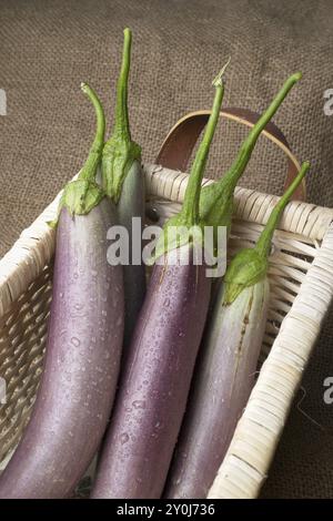 Photo rapprochée de natures mortes de longues aubergines violettes placées dans un panier en osier Banque D'Images