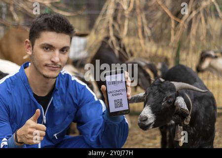 Vétérinaire montrant l'écran d'un téléphone portable avec la vaccination d'un animal dans une ferme caprine Banque D'Images