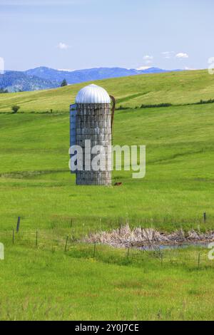 Un silo à grains se dresse haut dans une prairie verte près de Harrison, Idaho Banque D'Images