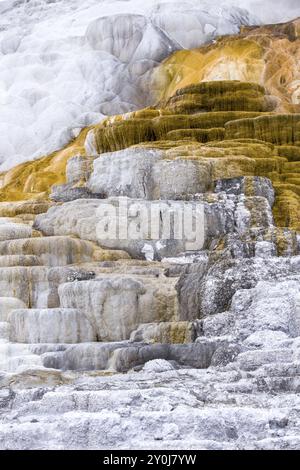 Image abstraite des gisements de calcium et de minéraux des foyers Mammoth dans le parc national de Yellowstone Banque D'Images