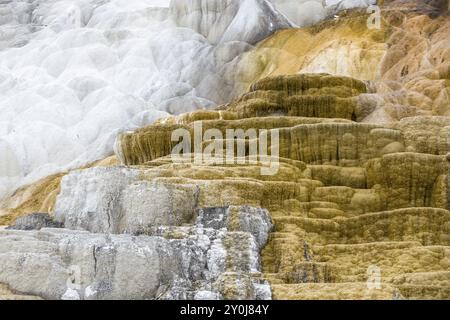 Image abstraite des gisements de calcium et de minéraux des foyers Mammoth dans le parc national de Yellowstone Banque D'Images