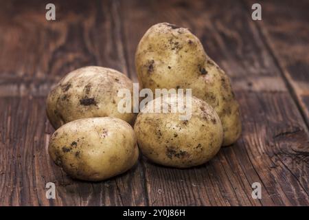 Pommes de terre fraîchement cueillies sur du vieux bois avec de la saleté sur eux Banque D'Images