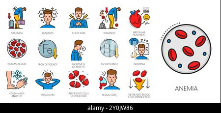 Icônes de ligne de couleur d'hématologie, symptômes d'anémie, maladie de carence en fer. Test de laboratoire des globules rouges vectoriels et signes de symptômes d'anémie. Les symboles en traits fins isolés en médecine hématologique Illustration de Vecteur
