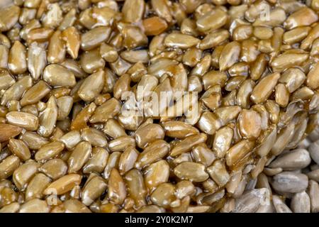 Graines de tournesol frites à la mélasse sucrée de betterave à sucre, délicieux kozinak oriental à base de graines de tournesol, mélasse et miel Banque D'Images