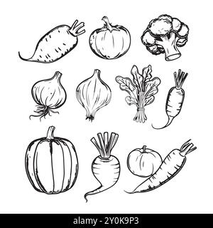 Ensemble de motifs végétaux, doodle concept végétarien doodle Organic food, cultiver des aliments Illustration de Vecteur