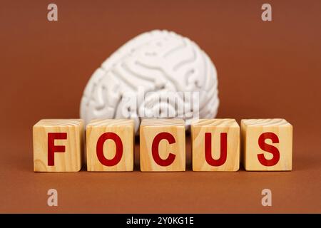 Les blocs de bois affichent le mot Focus en rouge vif, placé contre un modèle cérébral réaliste, symbolisant la santé cognitive et la concentration. Banque D'Images