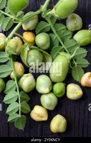Pois chiches vert frais (Cicer arietinum) avec des feuilles sur une table en bois gros plan. Photographie culinaire Banque D'Images