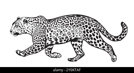 Courir Leopard. illustration vectorielle de personnage de design africain grand chat sauvage sur fond blanc. Vecteur de léopard dessiné à la main plat isolé. Illustration de Vecteur