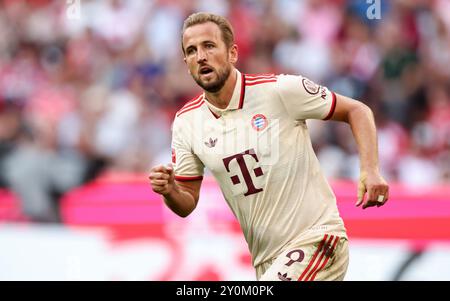 MUNICH, ALLEMAGNE - 01 SEPTEMBRE : Harry Kane du Bayern Muenchen en action lors du match de Bundesliga entre le FC Bayern München et le Sport-Club Freiburg à l'Allianz Arena le 1er septembre 2024 à Munich, Allemagne. © diebilderwelt / Alamy Stock Banque D'Images