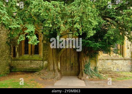 La porte Tolkien à St Edwards Church flanquée de deux anciens if à Stow on the Wold, Cotswolds, Gloucestershire, Angleterre, Royaume-Uni Banque D'Images
