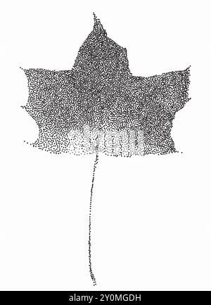 Feuille d'érable graineuse pointillée. Vecteur monochrome stipple découpé feuille d'automne texturée pour collage Illustration de Vecteur