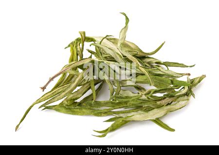 Pile d'Artemisia séchée isolée sur fond blanc Banque D'Images