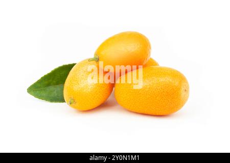 Fruits de kumquat frais mûrs isolés sur fond blanc, fortunella margarita Banque D'Images