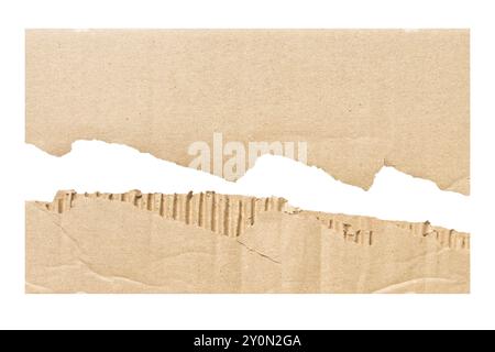 Pièce de carton ondulé déchiré révélant un bord texturé et une surface rugueuse à la lumière naturelle pendant les heures de lumière du jour. Isolé Banque D'Images