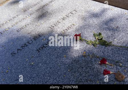 Paris, FRA. 27 août 2024. 20240827 - sépulture de Samuel Beckett, écrivain d'origine irlandaise, et de son épouse Suzanne, au cimetière Montparnasse à Paris, France. (Crédit image : © Chuck Myers/ZUMA Press Wire) USAGE ÉDITORIAL SEULEMENT! Non destiné à UN USAGE commercial ! Banque D'Images