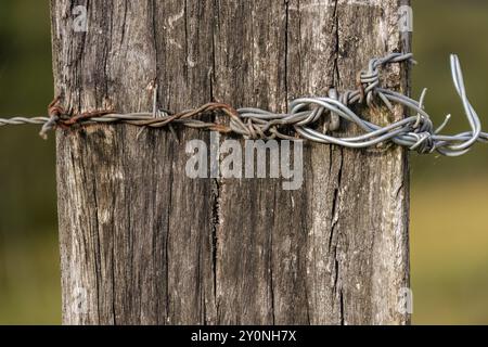 Photographie rapprochée et fil barbelé rouillé attaché à un plus récent et cloué au vieux poteau en bois d'une clôture, dans une ferme près de la ville d'Arcabuco. Banque D'Images