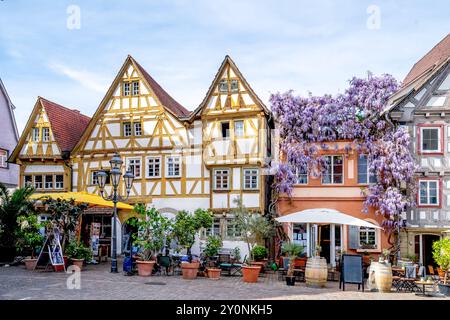 Vieille ville de Besigheim, Allemagne Banque D'Images