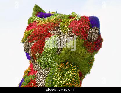 Tête de la sculpture chiot couverte de fleurs par Jeff Koons gros plan devant le musée d'art Guggenheim Bilbao pays Basque Euskadi Espagne Banque D'Images