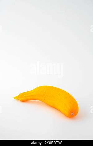 Courgette jaune isolée sur blanc avec un espace de texte libre Banque D'Images