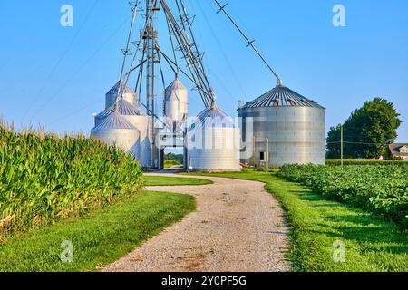 Silos à grains et champs de maïs avec chemin de gravier vue au niveau des yeux Banque D'Images