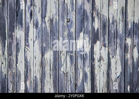 Planches en bois altérées pelage peinture gros plan au niveau des yeux Banque D'Images