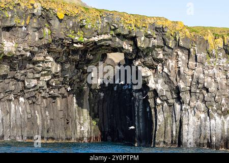 Côte avec falaise d'oiseaux et formations rocheuses comme vu du bord de l'eau. Arnastapi, Hellnar, Snæfellsbær, péninsule de Snæfellsnes, Islande occidentale Banque D'Images