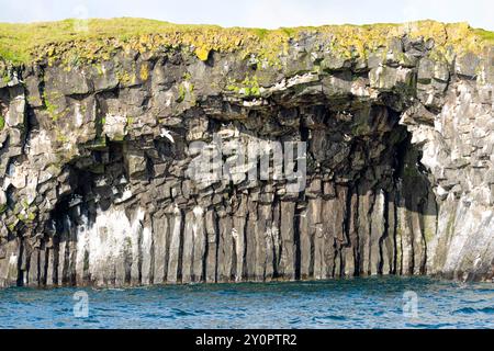 Côte avec falaise d'oiseaux et formations rocheuses comme vu du bord de l'eau. Arnastapi, Hellnar, Snæfellsbær, péninsule de Snæfellsnes, Islande occidentale Banque D'Images