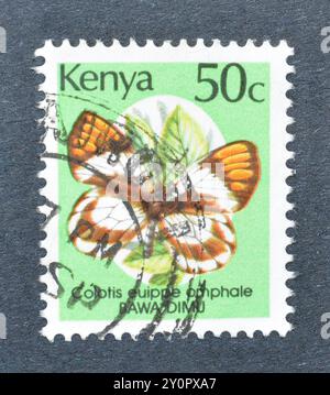 Timbre-poste oblitéré imprimé par le Kenya, qui montre Smoky Orange Tip (Colotis euippe omphale), vers 1988. Banque D'Images