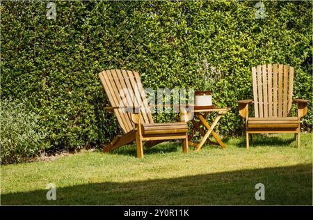 Winsford, Cheshire West et Chester, Royaume-Uni - 20 août 2024 - deux chaises en bois et une table dans un jardin avec une plante de Kangourou Paw sur la table Banque D'Images