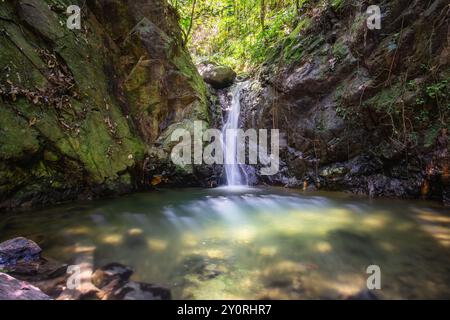 Petite cascade dans une forêt avec étang clair et feuillage vert. Banque D'Images