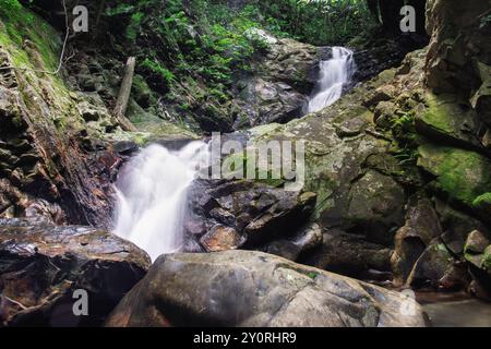 Cascade descendant un terrain rocheux dans une forêt luxuriante. Banque D'Images