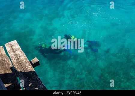 Plongeurs en combinaisons de plongée sous-marine noires, un homme et une femme avec des bouteilles d'oxygène coulent sous l'eau bleue transparente dans le lac Ohrid. Banque D'Images