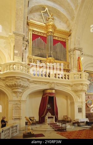 Orgue et galerie baroques, Cathédrale notre-Dame des Doms construite 17ème siècle, vue intérieure, place du Palais, Palais des Papes, Cathédrale, Avignon, Banque D'Images