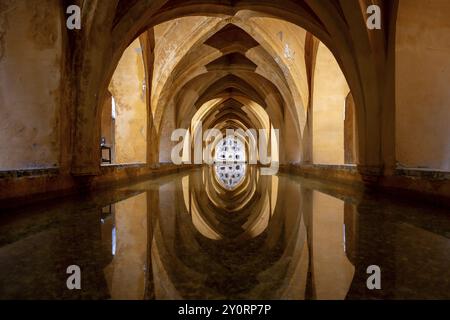 Banos de Dona Maria de Padilla, Thermes de Dona Maria de Padilla, dans le palais royal mauresque Real Alcazar, Séville, Andalousie, Espagne, Europe Banque D'Images