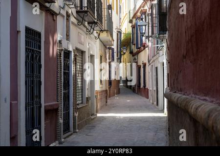 Ruelle typique de la vieille ville, Séville, Andalousie, Espagne, Europe Banque D'Images