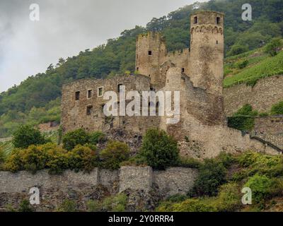 Un vieux château en ruine sur une colline boisée avec des murs de pierre et des tours, bingen, rhin, allemagne Banque D'Images