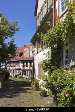 Maisons à colombages classées sur le Burggraben dans le centre historique de Francfort-Hoechst, Francfort-sur-le-main, Hesse, Allemagne, Europe Banque D'Images