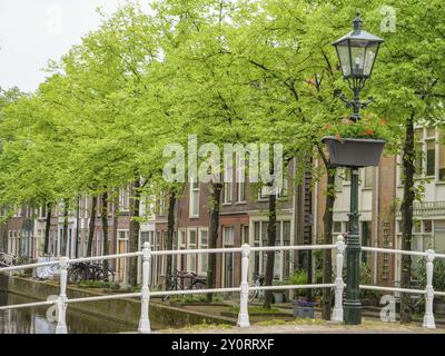 Scène urbaine avec canal, lampadaire et pot de fleurs, entouré d'arbres verts et de bâtiments historiques, delft, pays-bas Banque D'Images