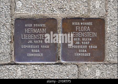 Plaques commémoratives des Juifs déportés en 1940 encastrées dans le trottoir, Stolpersteine, Mainbernheim, basse-Franconie, Bavière, Allemagne, Europe Banque D'Images