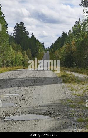 Route de gravier solitaire à travers une zone boisée, entourée d'arbres sous un ciel partiellement nuageux, Jaemtland, Suède, Europe Banque D'Images