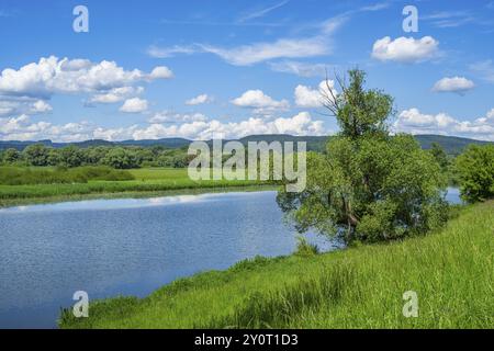 Paysage de la rivière Danubia avec reflet du paysage et des nuages, Haut Palatinat, Bavière, Allemagne, Europe Banque D'Images